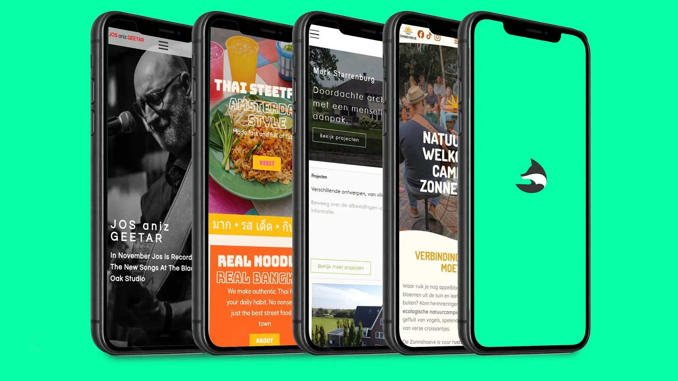 Voorbeelden van coaching websites gemaakt door Siebren de Vos webdesigner